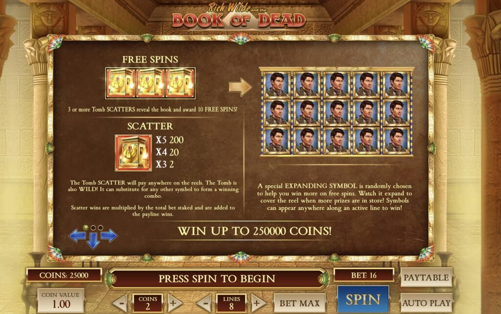 Book of Dead slotunu oynamak için 1win Casino'ya katılın
