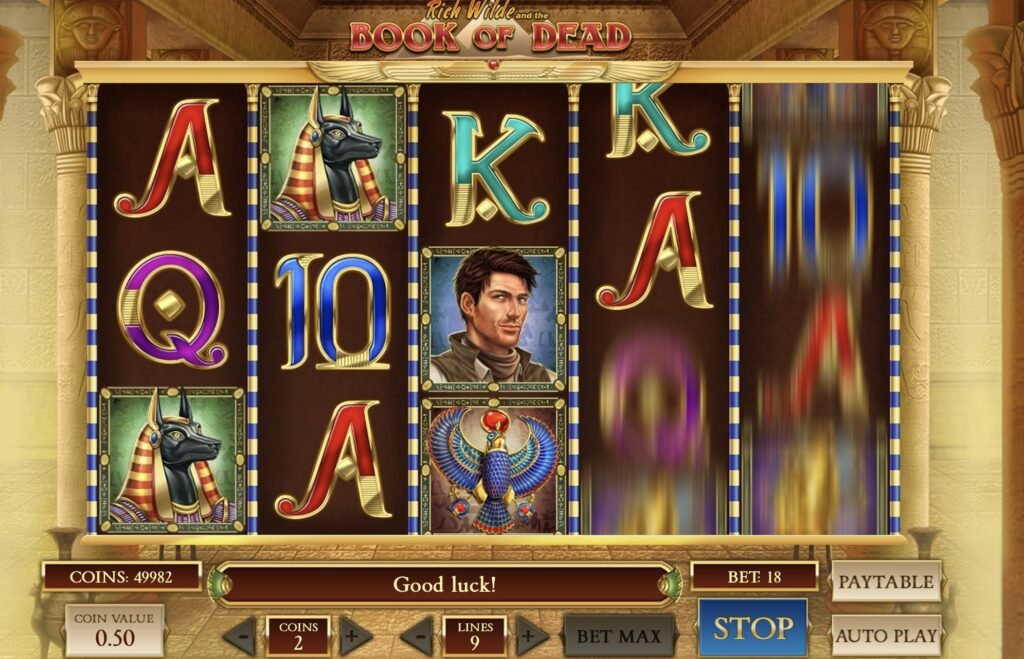 Vulkan Vegas online casino'da Book Of Dead slot makinesi